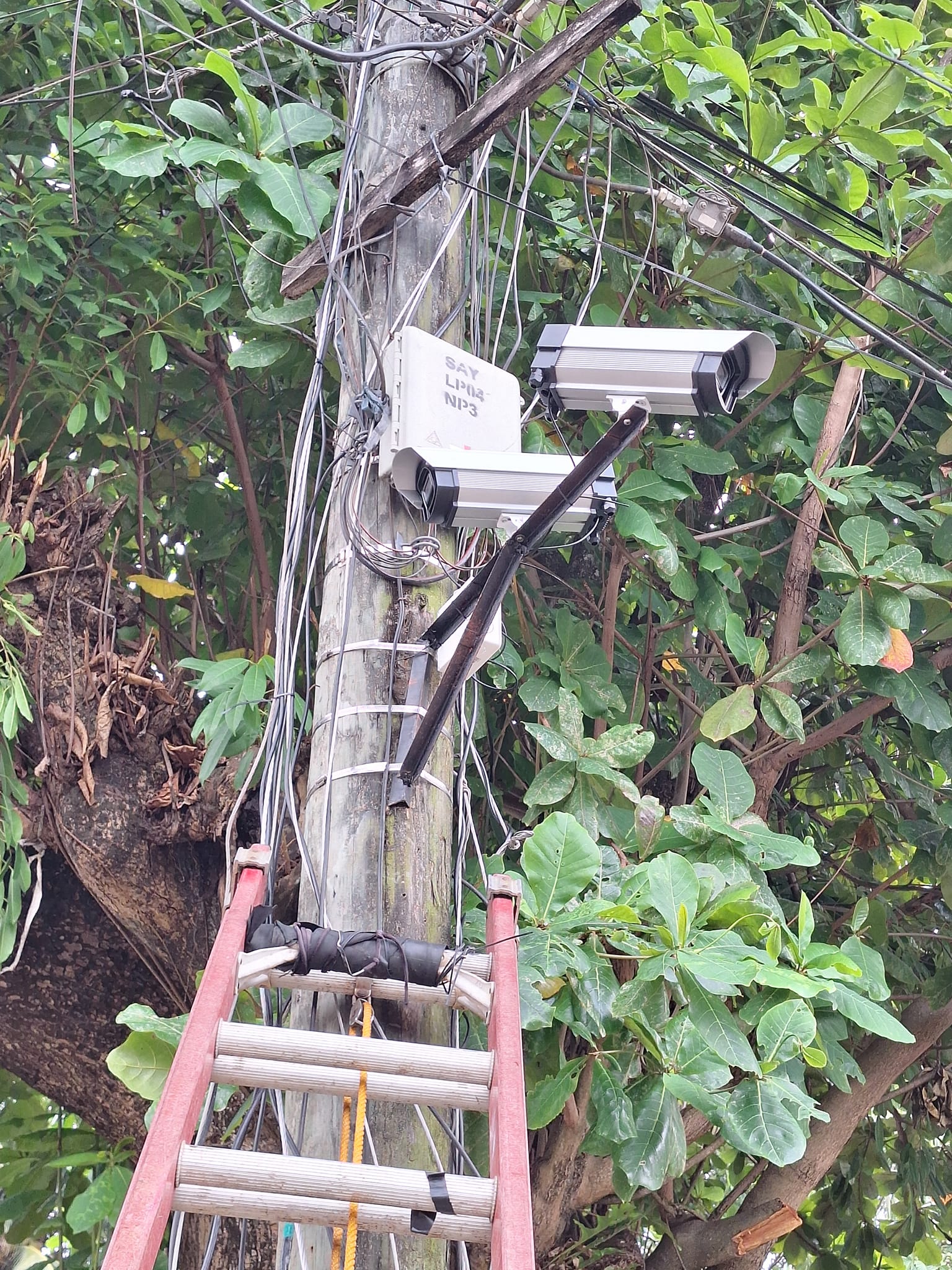 461380775 7668703533229820 5869360138940192917 N